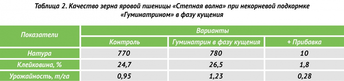 Таблица 2. Качество зерна яровой пшеницы «Степная волна» при некорневой подкормке  «Гуминатрином» в фазу кущения