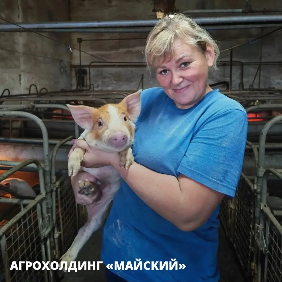В Пермском крае за пять лет производство АПК выросло почти на 40%